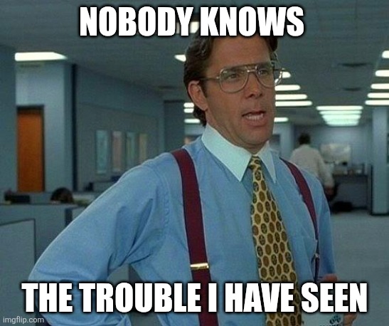 Nobody Knows | Nobody knows; The trouble I have seen | image tagged in memes,that would be great,funny memes | made w/ Imgflip meme maker