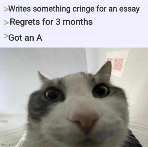 Cat looks inside | Writes something cringe for an essay; Regrets for 3 months; Got an A | image tagged in cat looks inside | made w/ Imgflip meme maker