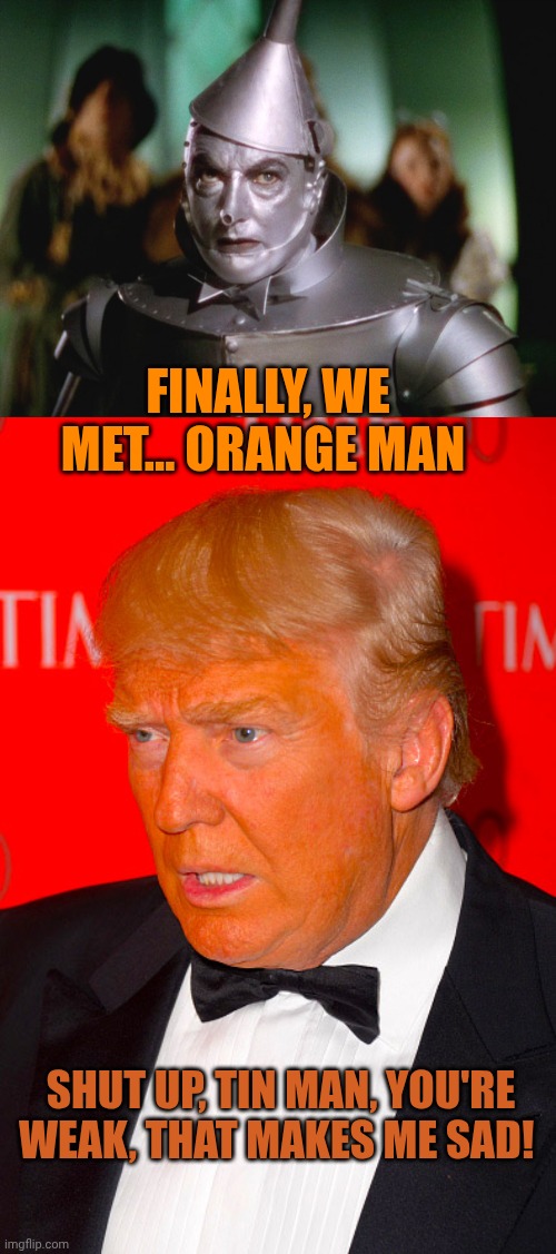 Tin man vs orange man (Trump) | Finally, we met... Orange man; Shut up, tin man, you're weak, that makes me sad! | image tagged in wizard of oz tin man,orange trump | made w/ Imgflip meme maker