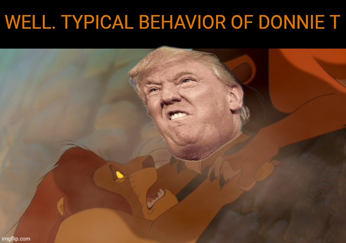 It seems so! | Well. typical behavior of Donnie t | image tagged in lion king | made w/ Imgflip meme maker