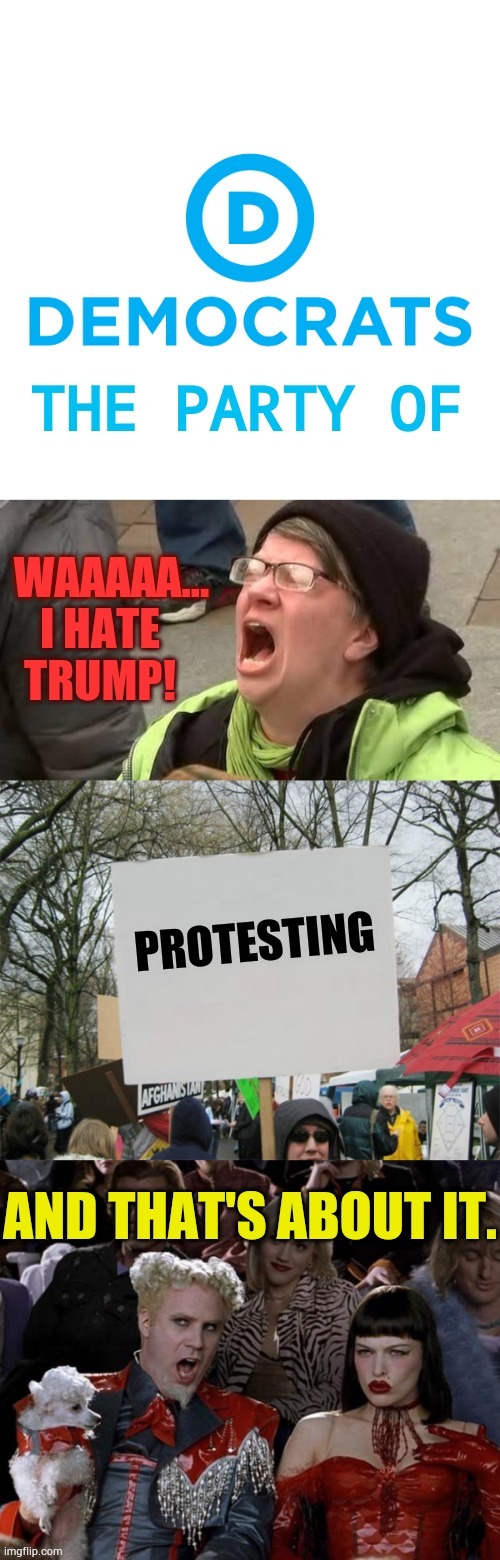 And That's About It | image tagged in memes,democrat party,hate,donald trump,proteste,nothing more | made w/ Imgflip meme maker