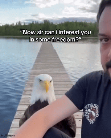 Why did Imgflip think that this is a gif - Imgflip