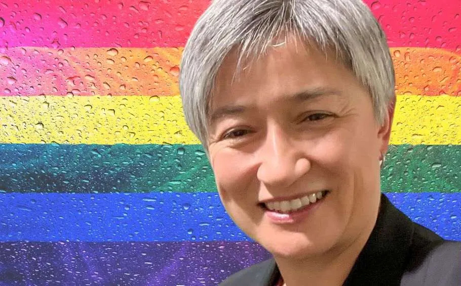Penny Wong Blank Meme Template