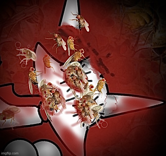 Fruit Flies... | image tagged in fruit flies,hecesa,arctic fox,oc,fruit fly,trama | made w/ Imgflip meme maker