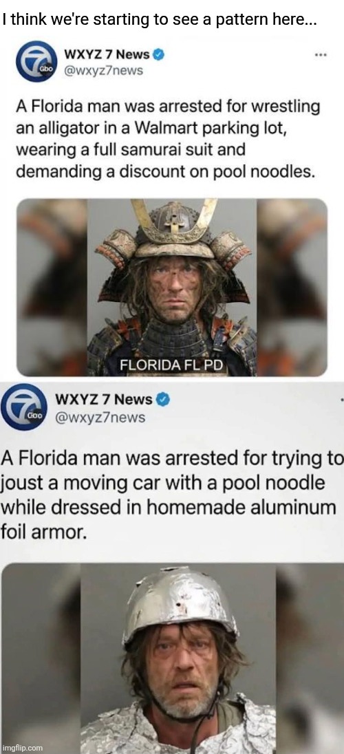 Florida Man strikes again! | I think we're starting to see a pattern here... | image tagged in florida man,aligator,pool noodles,jousting,traffic | made w/ Imgflip meme maker
