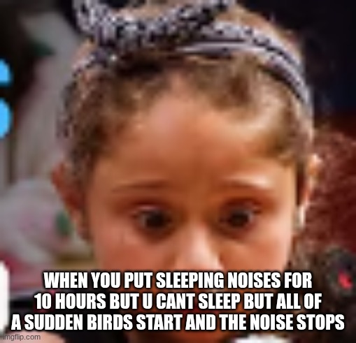 Uh-oh STINKY | when you put sleeping noises for 10 hours but u cant sleep but all of a sudden birds start and the noise stops | image tagged in afraid to poo | made w/ Imgflip meme maker