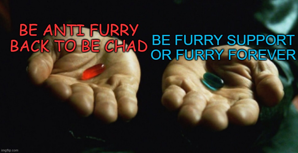 Two pills | be anti furry back to be chad be furry support or furry forever | image tagged in two pills | made w/ Imgflip meme maker
