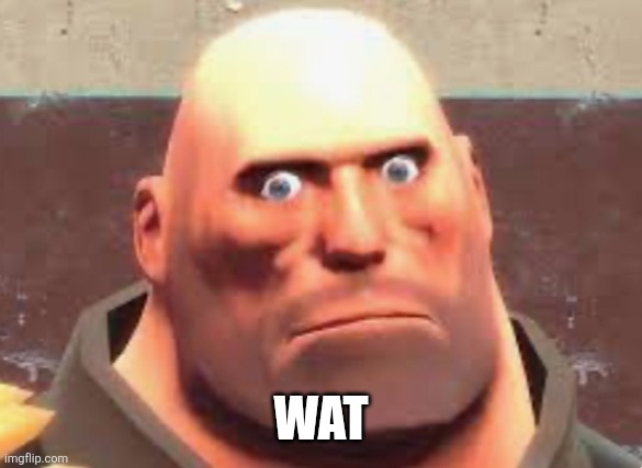 Wat | image tagged in surprised heavy | made w/ Imgflip meme maker