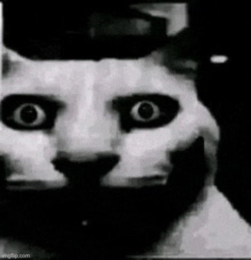 Horror cat | image tagged in horror cat | made w/ Imgflip meme maker