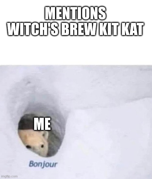 Bonjour | mentions witch's brew kit kat; me | image tagged in bonjour | made w/ Imgflip meme maker