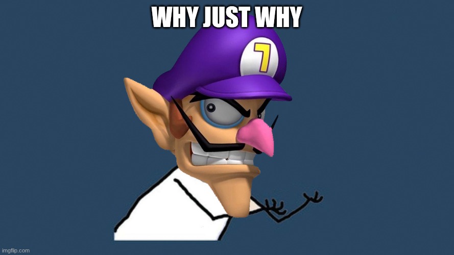 WA U NO | why just why | image tagged in wa u no | made w/ Imgflip meme maker