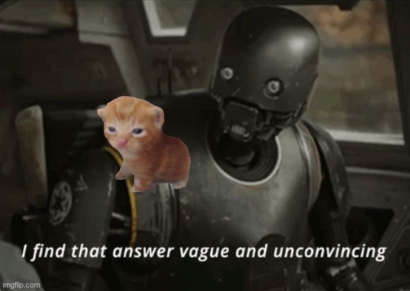 I find that answer vague and unconvincing | image tagged in i find that answer vague and unconvincing | made w/ Imgflip meme maker
