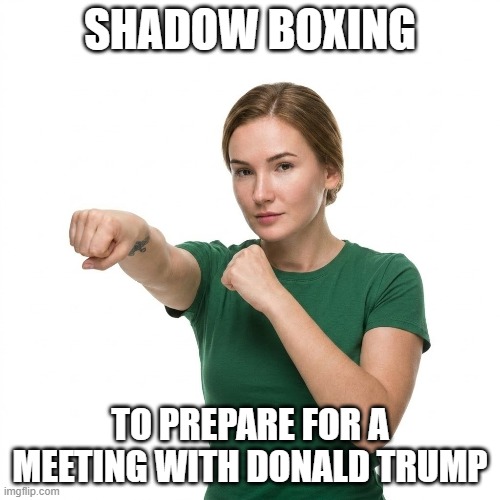 Shadow Boxing To Fight Trump | shadow boxing; to prepare for a meeting with donald trump | image tagged in shadow boxing,trump is a rapist,trump is a predator,i hate donald trump,trump sucks | made w/ Imgflip meme maker