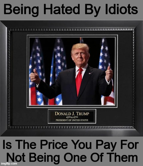 TDS ~~ Still Searching for a Cure | Being Hated By Idiots; Is The Price You Pay For 
Not Being One Of Them | image tagged in donald trump,potus45,haters gonna hate,party of haters,idiots,tds | made w/ Imgflip meme maker