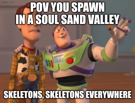 skeletons everywhere | pov you spawn in a soul sand valley; skeletons, skeletons everywhere | image tagged in x x everywhere,minecraft,skeleton,memes | made w/ Imgflip meme maker