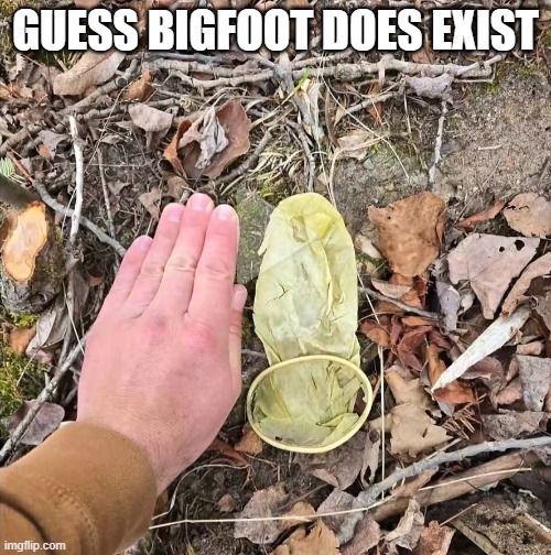 Big.....Foot? | Guess Bigfoot does exist | image tagged in hh9lmrpayaatvmv jpg | made w/ Imgflip meme maker