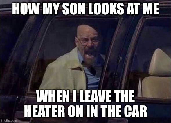 no hank | How my son looks at me; when I leave the heater on in the car | image tagged in no hank | made w/ Imgflip meme maker