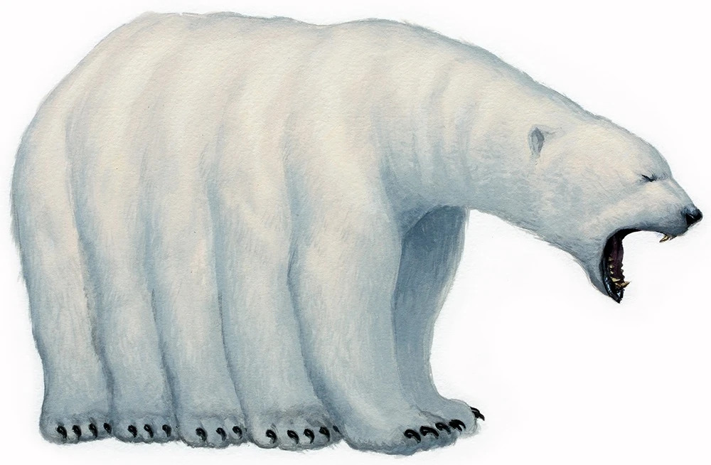 QUPQUGIAQ Blank Meme Template