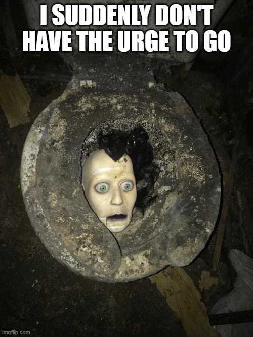 Cursed Toilet | I suddenly don't have the urge to go | image tagged in fa80wobwaaamvmu jpg | made w/ Imgflip meme maker