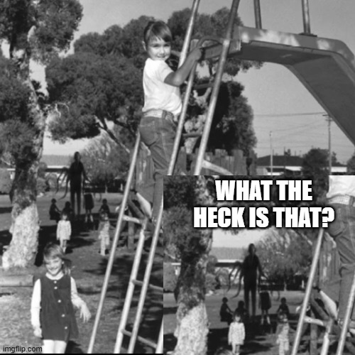 Playground Visitor | what the heck is that? | image tagged in fbbq47lxeaag2sv jpg | made w/ Imgflip meme maker