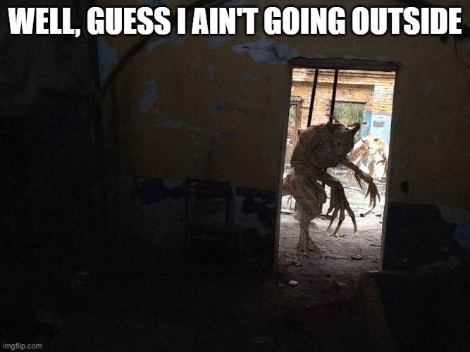 What's Outside? | well, guess I ain't going outside | image tagged in fbcxln3xwaat01f jpg | made w/ Imgflip meme maker
