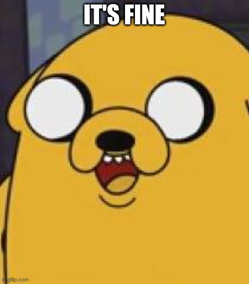 Jake The Dog Yeah Okay | it's fine | image tagged in jake the dog yeah okay | made w/ Imgflip meme maker