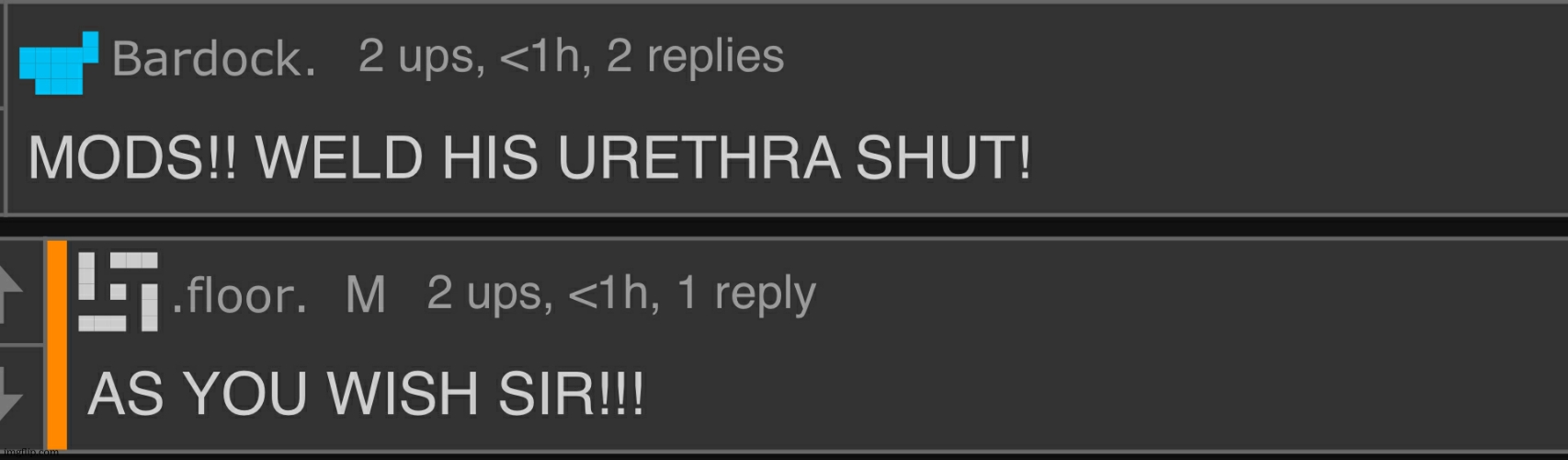 MODS WELD HIS URETHRA SHUT | image tagged in mods weld his urethra shut | made w/ Imgflip meme maker