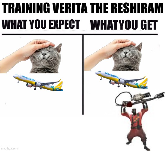 this is true | training Verita the reshiram; whatyou get; what you expect | image tagged in comparison table | made w/ Imgflip meme maker