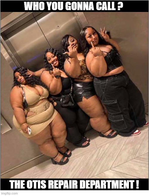 Will It Take The Strain ? | Who You Gonna Call ? The OTIS repair department ! | image tagged in elevator,obese,overload,otis,necessary | made w/ Imgflip meme maker