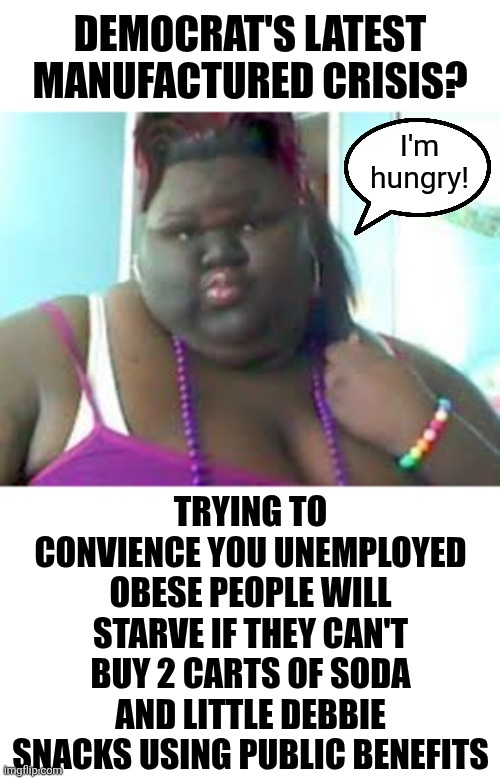 The Big Beautiful Bill won't starve you. But assuming its our job to fed you for life certainly could. Get a job! | Democrat's latest manufactured crisis? I'm hungry! Trying to convience you unemployed obese people will starve if they can't buy 2 carts of soda and Little Debbie snacks using public benefits | image tagged in fat black woman,food stamps,reality check,liberal logic,crying democrats,stupid people | made w/ Imgflip meme maker