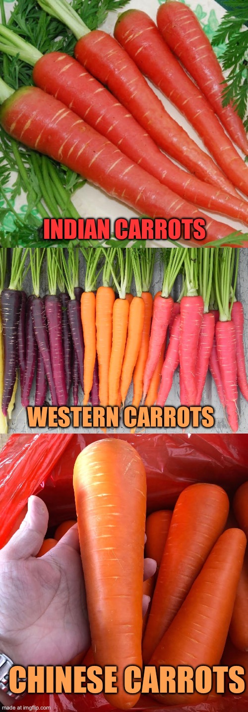 Carrots around the world | Indian carrots; Western carrots; Chinese carrots | image tagged in indian carrots,western carrots,chinese carrots | made w/ Imgflip meme maker