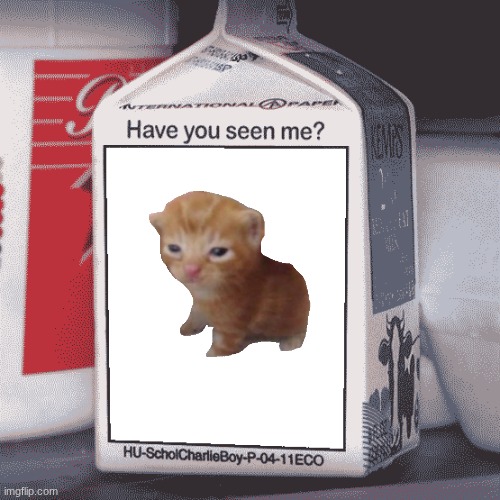 Missing Person | image tagged in missing person | made w/ Imgflip meme maker
