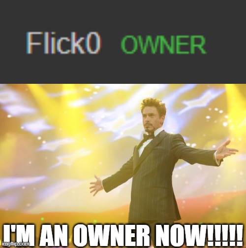 I do understand the amount of responsibility involved in this though. Thanks Flick! | I'm an owner now!!!!! | image tagged in tony stark success,owner | made w/ Imgflip meme maker