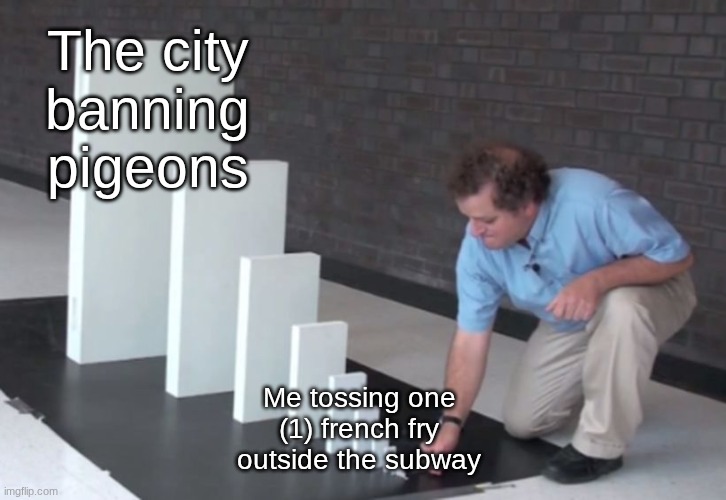 Domino Effect | The city banning pigeons; Me tossing one (1) french fry outside the subway | image tagged in domino effect | made w/ Imgflip meme maker