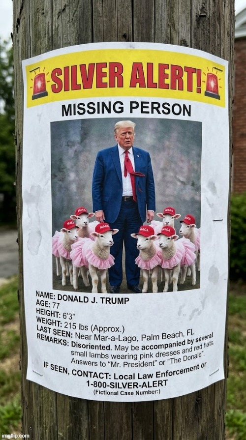 SILVER ALERT | image tagged in donald trump,old man,jeffrey epstein,epstein,maga,political meme | made w/ Imgflip meme maker