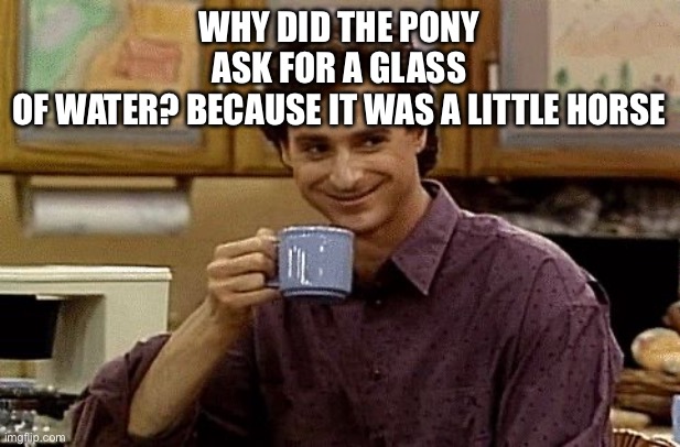 Ha ha | Why did the pony ask for a glass of water? Because it was a little horse | image tagged in dad joke | made w/ Imgflip meme maker