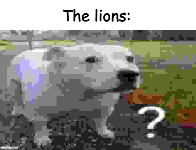 The lions: | made w/ Imgflip meme maker