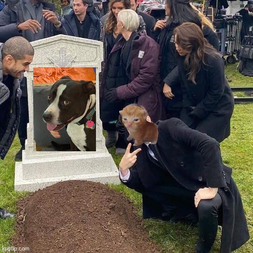 Guy posing in front of grave | image tagged in guy posing in front of grave | made w/ Imgflip meme maker