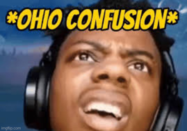 Ohio Confusion | image tagged in ohio confusion | made w/ Imgflip meme maker