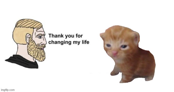 Thank you for changing my life | image tagged in thank you for changing my life | made w/ Imgflip meme maker