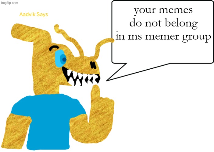 aadvik says | your memes do not belong in ms memer group | image tagged in aadvik says | made w/ Imgflip meme maker