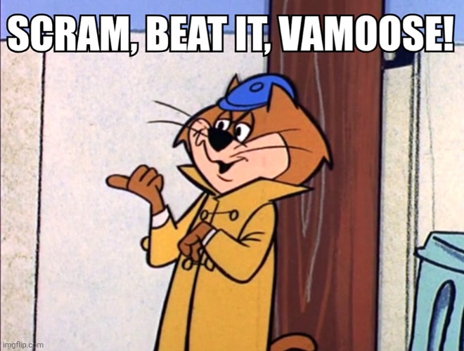 Split The Scene You Turkeys | image tagged in top cat,memes,boomerang,cartoon network,nostalgia,cats | made w/ Imgflip meme maker