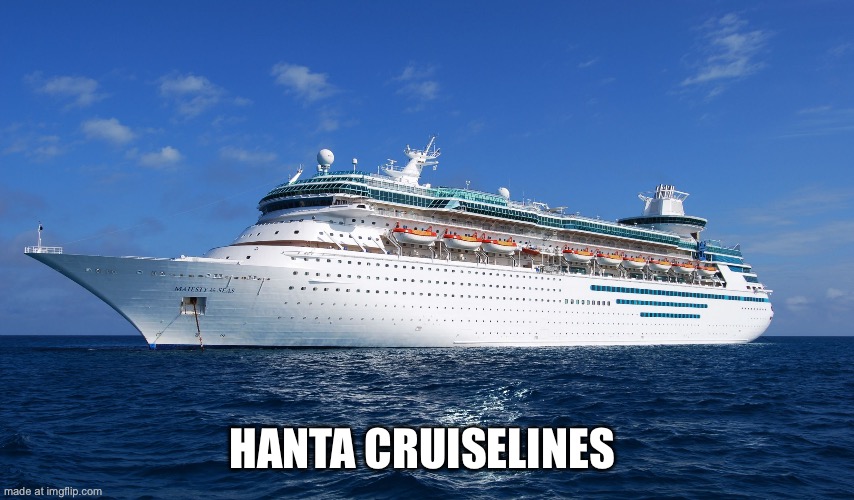 Cruise Ship | Hanta cruiselines | image tagged in cruise ship | made w/ Imgflip meme maker