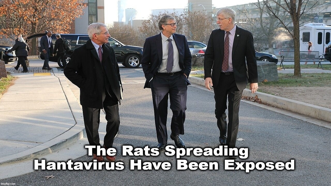 The Rats Spreading Hantavirus Have Been Exposed | image tagged in demorats,rats,dr fauci,bill gates,dr francis collins,plandemic | made w/ Imgflip meme maker