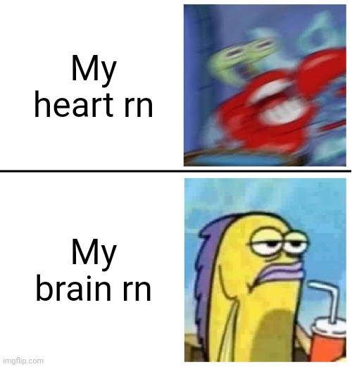 Excited vs Bored | My heart rn My brain rn | image tagged in excited vs bored | made w/ Imgflip meme maker