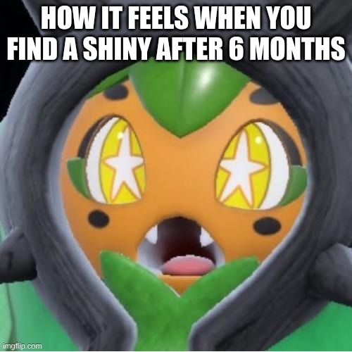 shiny 6 months wait | how it feels when you find a shiny after 6 months | image tagged in ogerpon surprised jpg,shiny,pokemon | made w/ Imgflip meme maker