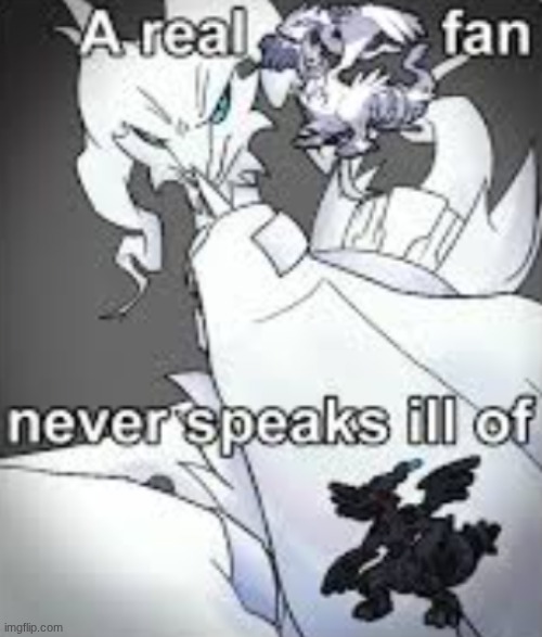 a true reshiram fan never speaks ill of zekrom | image tagged in reshiram,zekrom,pokemon | made w/ Imgflip meme maker