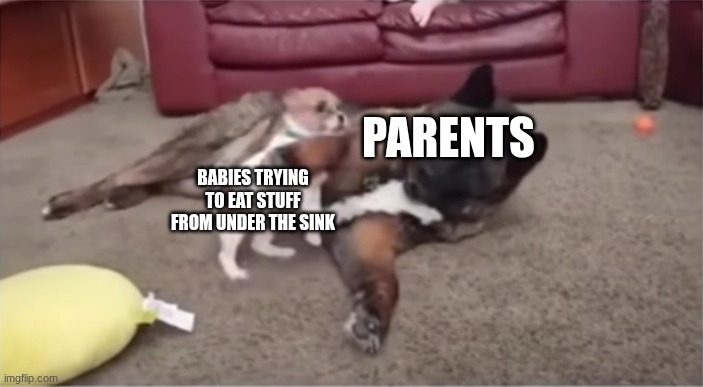 Dog stopping small dog | parents; babies trying to eat stuff from under the sink | image tagged in dog stopping small dog | made w/ Imgflip meme maker