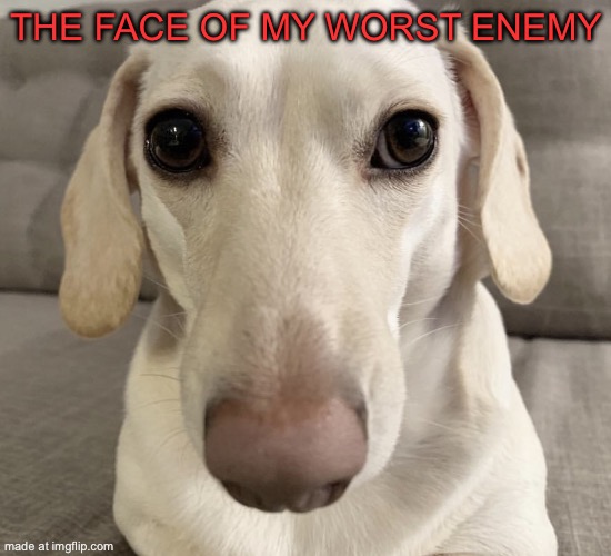 I HATE HIM | THE FACE OF MY WORST ENEMY | made w/ Imgflip meme maker