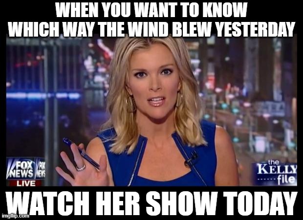 finger in the wind for $ | when you want to know which way the wind blew yesterday; watch her show today | image tagged in megyn kelly essentially | made w/ Imgflip meme maker